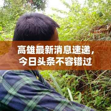 高雄最新消息速递，今日头条不容错过