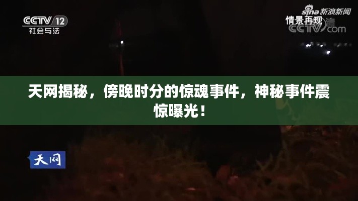 天网揭秘，傍晚时分的惊魂事件，神秘事件震惊曝光！