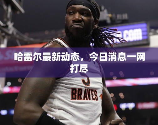 哈雷尔最新动态，今日消息一网打尽