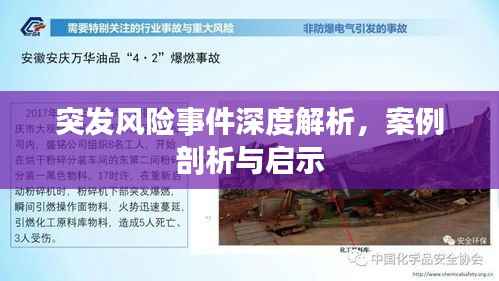 突发风险事件深度解析,案例剖析与启示