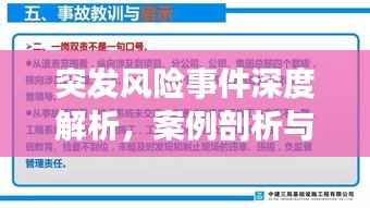 突发风险事件深度解析，案例剖析与启示
