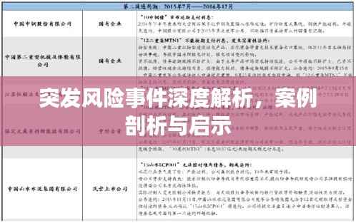突发风险事件深度解析,案例剖析与启示