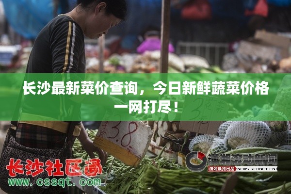 长沙最新菜价查询，今日新鲜蔬菜价格一网打尽！