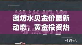 潍坊水贝金价最新动态，黄金投资热点解析