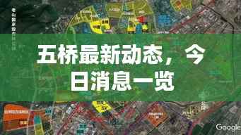 五桥最新动态，今日消息一览