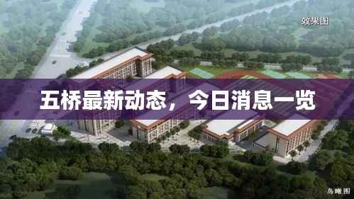 五桥最新动态,今日消息一览