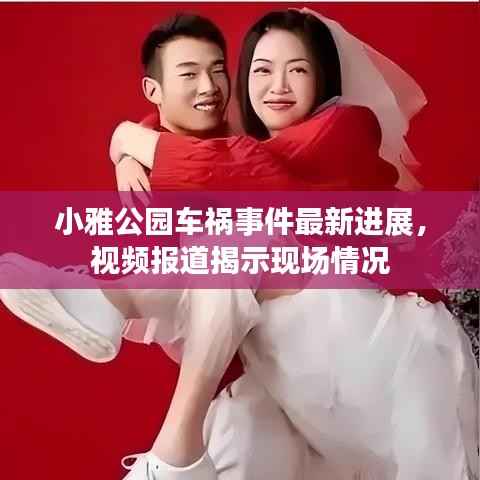 小雅公园车祸事件最新进展，视频报道揭示现场情况