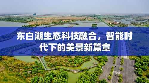 东白湖生态科技融合,智能时代下的美景新篇章