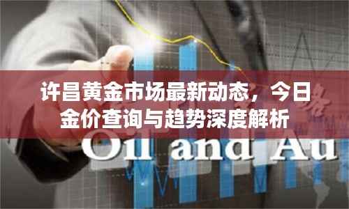 许昌黄金市场最新动态，今日金价查询与趋势深度解析