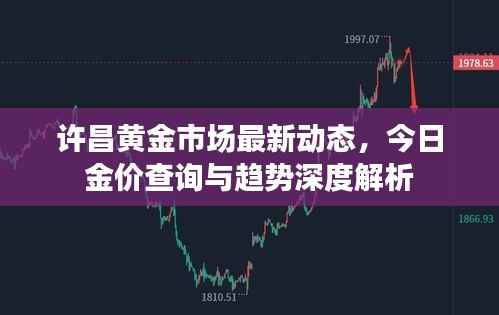许昌黄金市场最新动态,今日金价查询与趋势深度解析