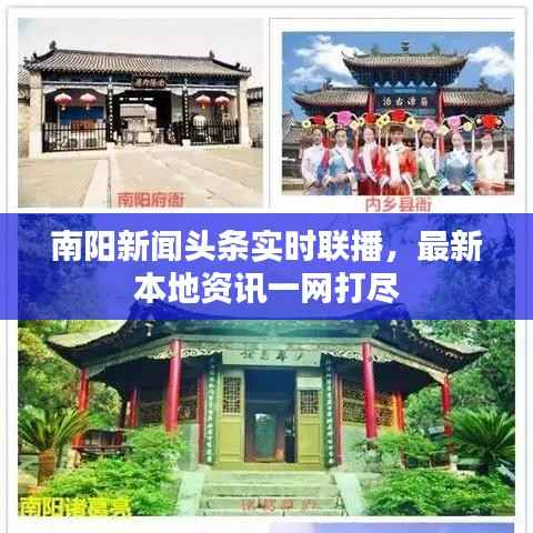 南阳新闻头条实时联播，最新本地资讯一网打尽