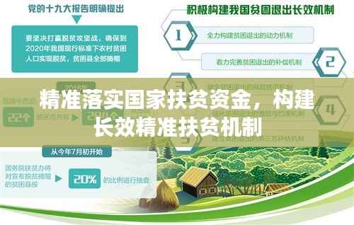 精准落实国家扶贫资金，构建长效精准扶贫机制