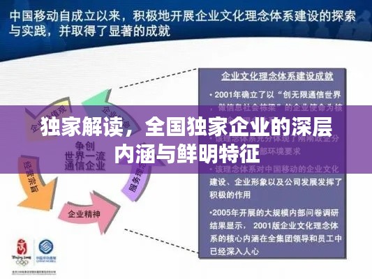 独家解读，全国独家企业的深层内涵与鲜明特征