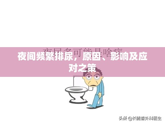 夜间频繁排尿，原因、影响及应对之策