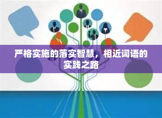 严格实施的落实智慧，相近词语的实践之路