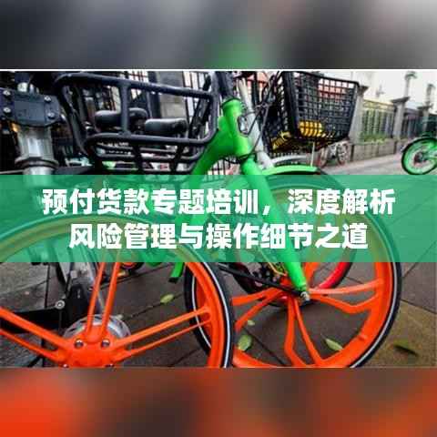 预付货款专题培训，深度解析风险管理与操作细节之道