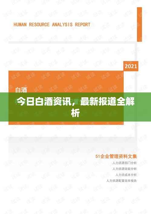 今日白酒资讯，最新报道全解析