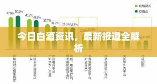 今日白酒资讯,最新报道全解析