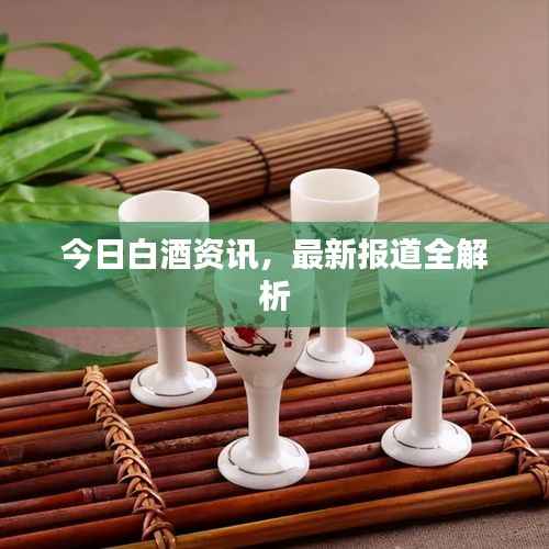 今日白酒资讯,最新报道全解析