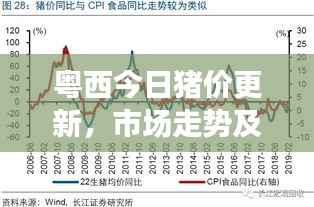 粤西今日猪价更新，市场走势及影响因素深度解析