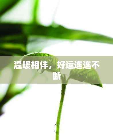 温暖相伴，好运连连不断