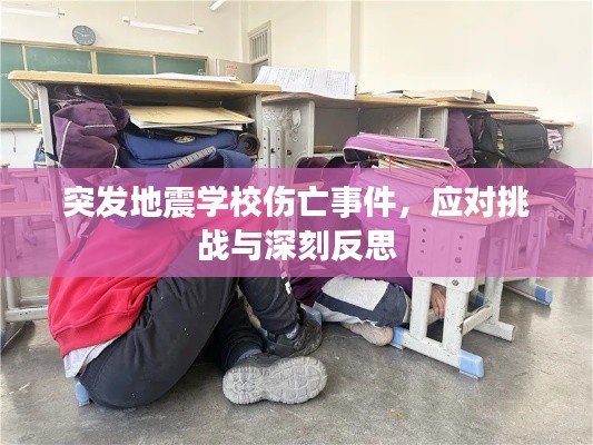 突发地震学校伤亡事件，应对挑战与深刻反思