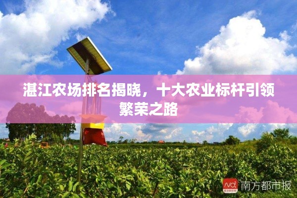 湛江农场排名揭晓,十大农业标杆引领繁荣之路