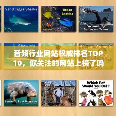 音频行业网站权威排名TOP10，你关注的网站上榜了吗？