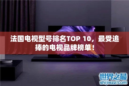 法国电视型号排名TOP 10，最受追捧的电视品牌榜单！