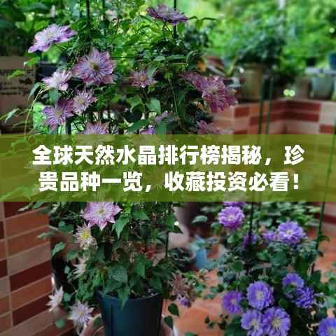 全球天然水晶排行榜揭秘，珍贵品种一览，收藏投资必看！