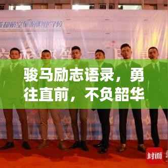 骏马励志语录，勇往直前，不负韶华