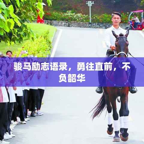 骏马励志语录,勇往直前,不负韶华