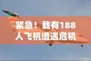 紧急！载有188人飞机遭遇危机，惊险瞬间！