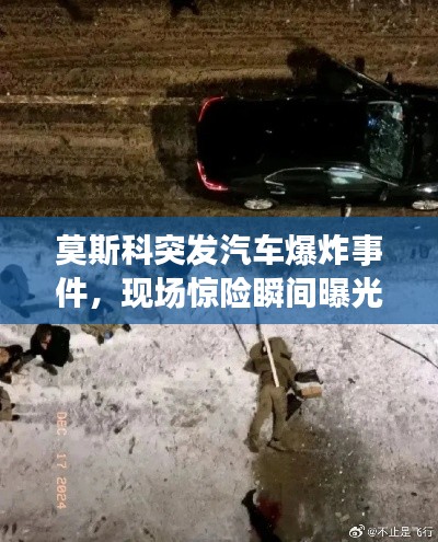 神采奕奕 第5页