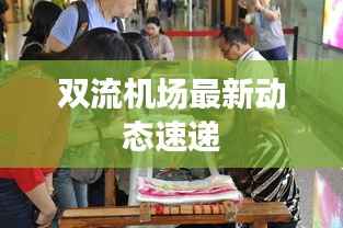 双流机场最新动态速递