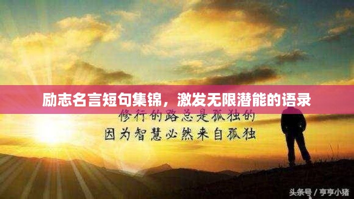 物离乡贵 第5页