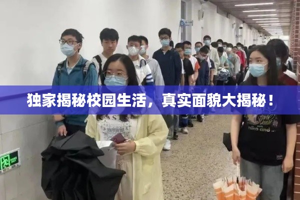 独家揭秘校园生活，真实面貌大揭秘！