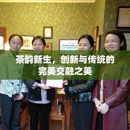 茶韵新生，创新与传统的完美交融之美