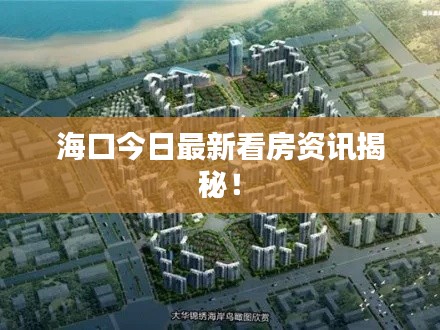 海口今日最新看房资讯揭秘！