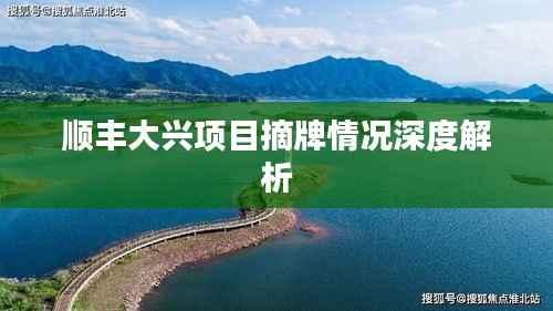 顺丰大兴项目摘牌情况深度解析