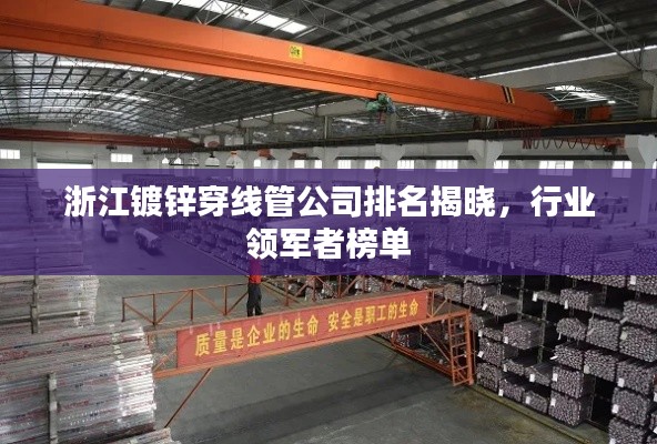 浙江镀锌穿线管公司排名揭晓，行业领军者榜单