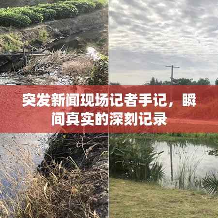 飞沙走石 第4页