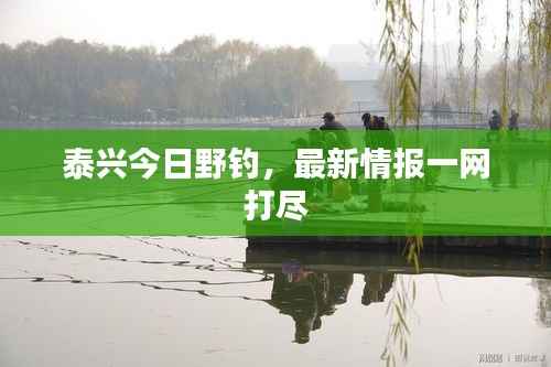 泰兴今日野钓，最新情报一网打尽