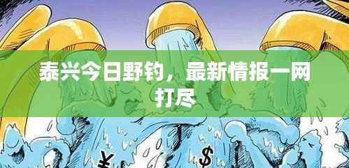 泰兴今日野钓,最新情报一网打尽