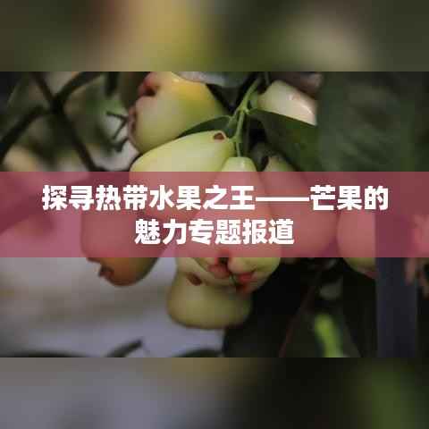 探寻热带水果之王——芒果的魅力专题报道