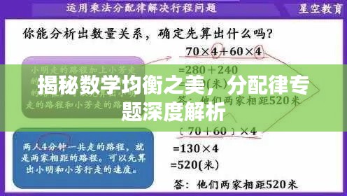 揭秘数学均衡之美，分配律专题深度解析
