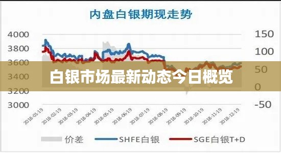 一石二鸟 第4页