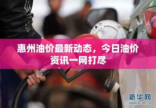 惠州油价最新动态,今日油价资讯一网打尽