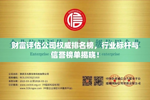 财富评估公司权威排名榜,行业标杆与信誉榜单揭晓!