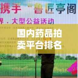 国内药品拍卖平台排名大揭秘，最新榜单，一网打尽！